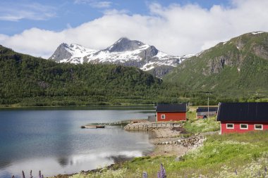 Lofoten Adaları Norveç'te Eggum ve Svolvaer arasındaki yol