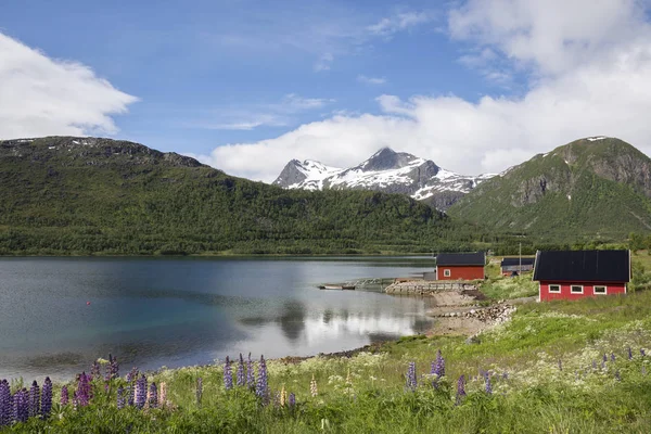 Weg Tussen Eggum Svolvaer Naar Eilanden Van Lofoten Noorwegen — Stockfoto