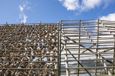 Svolvaer, Norveç'te Lofoten stockfish kurutma için raflar genel bakış