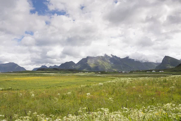 Landschaft Bei Fredvang Lofoten Norwegen — Stockfoto