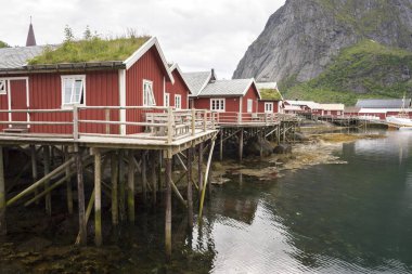 Norveç'te Lofoten adalarına Reine Köyü manzara