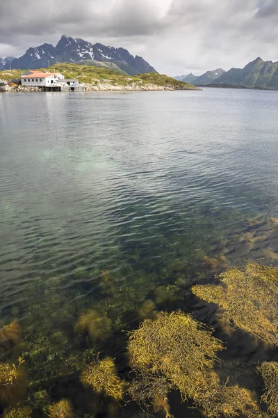 ノルウェーのロフォーテン諸島の島々 Eggum の風景の中の浮遊藻類 — ストック写真