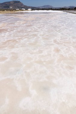 İtalya, Sicilya bölgesindeki Trapani, saltworks tuz toplama