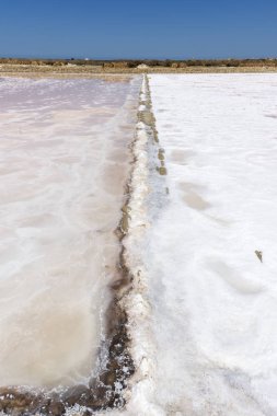 İtalya, Sicilya bölgesindeki Trapani, saltworks tuz toplama