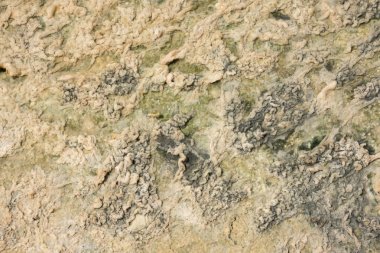 İtalya, Sicilya bölgesindeki Trapani, saltworks tuz toplama