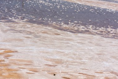 İtalya, Sicilya bölgesindeki Trapani, saltworks tuz toplama