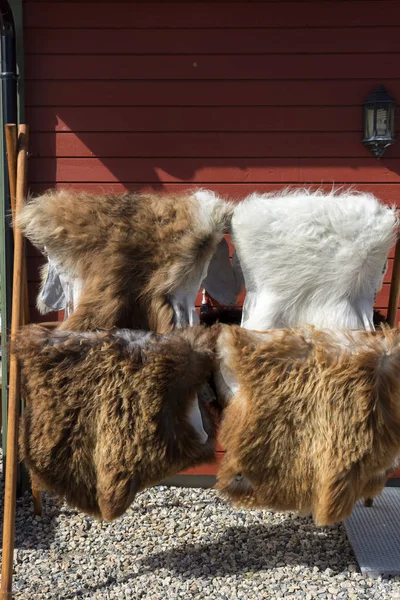 Pellicce Sul Rack Legno Lofoten Norvegia — Foto Stock