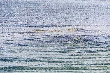 göller ve nehirler Yellowstone'da ile manzara