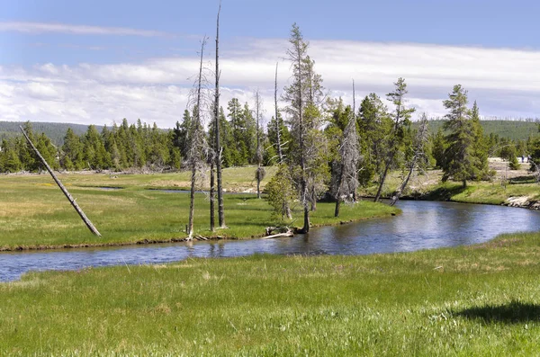 Paisaje Con Lagos Ríos Yellowstone — Foto de Stock