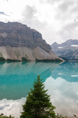 Alberta Kanada Icefield Parkway boyunca yay Gölü üzerine düşünceler 