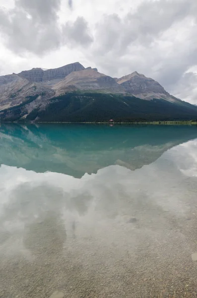 加拿大冰原大道上的阿尔伯特湖的思考 — 图库照片