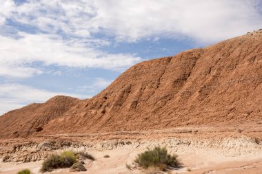 Amerika Birleşik Devletleri cin devlet parkta manzara