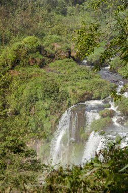 Amerika Birleşik Devletleri cin devlet parkta manzara