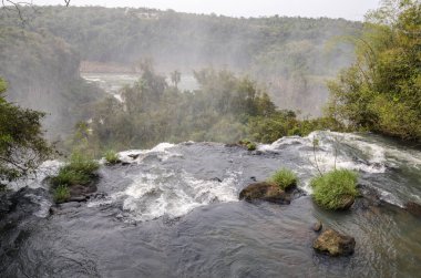 Amerika Birleşik Devletleri cin devlet parkta manzara
