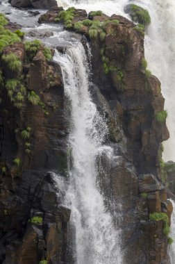 Amerika Birleşik Devletleri cin devlet parkta manzara