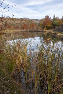 Liguria 'daki Bocco Gölü yakınlarındaki Bocco geçidinde sonbaharda renkli yapraklar.