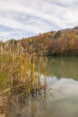 Liguria 'daki Bocco Gölü yakınlarındaki Bocco geçidinde sonbaharda renkli yapraklar.