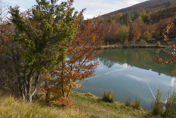在利古里亚的博科湖附近 博科克山口长出了五颜六色的叶子 — 图库照片