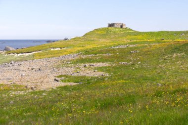 Norveç 'in Lofoten kentindeki Eggum kentindeki koruma altındaki park alanı Borga Eggum' da manzara