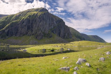 Norveç 'in Lofoten kentindeki Eggum kentindeki koruma altındaki park alanı Borga Eggum' da manzara