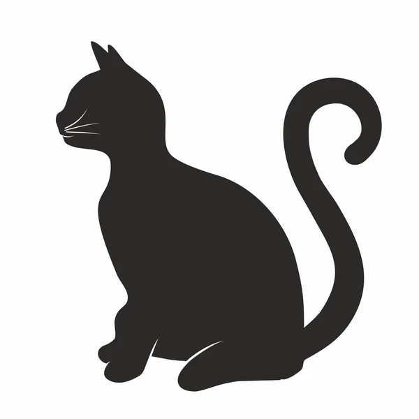 Silhouet Van Een Kat — Stockfoto