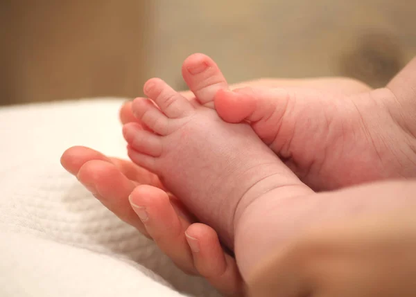 Tiny noworodka stóp w rękach kobiet. — Zdjęcie stockowe