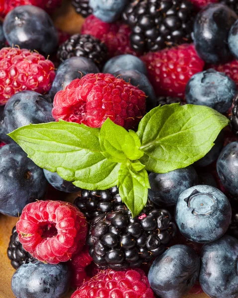 Çilek arka plan. Yaban mersini, ahududu ve böğürtlen.