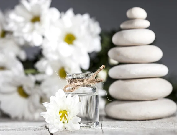 Chamomile essential oil, bouquet of chamomile flowers and stack of rocks — Stock Photo, Image