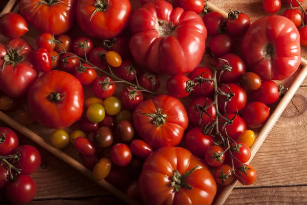 Tomaten op rustieke houten achtergrond bovenaanzicht — Stockfoto