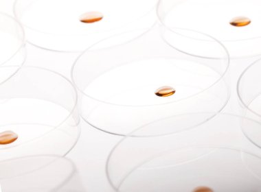 Petri kabı ve sıvı maddeyle pipette..