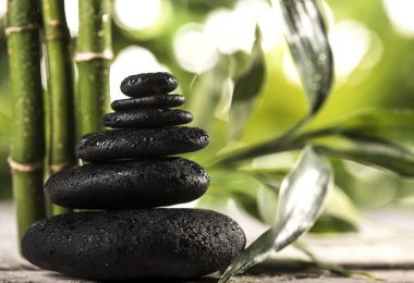 Zen taşlarının üzerinde tropikal yaprakların üzerinde büyük bambu yaprakları