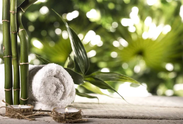 Grean bambu blad, handduk ett ljus på tropiska blad bakgrund — Stockfoto