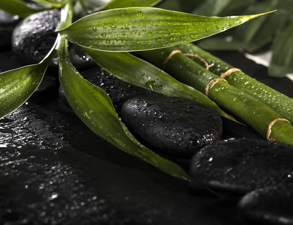 Bamboo con piedras zen negras sobre fondo negro. concepto de spa — Foto de Stock