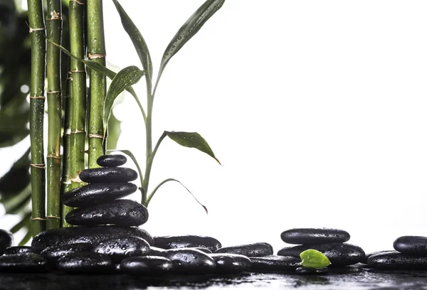 Grean bamboo leaves over zen stones pyramid on white background — Stock Photo, Image