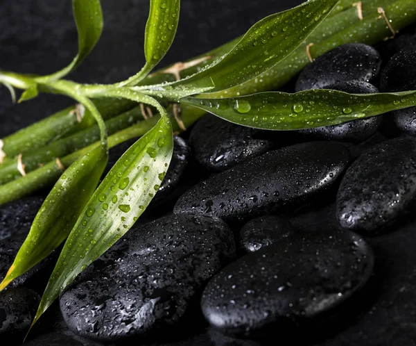 Bamboo with black zen stones on a black background. Spa concept — Stock Photo, Image