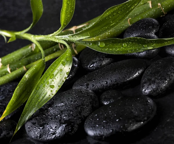 Bamboe met zwarte zen stenen op een zwarte achtergrond. Spa-concept — Stockfoto