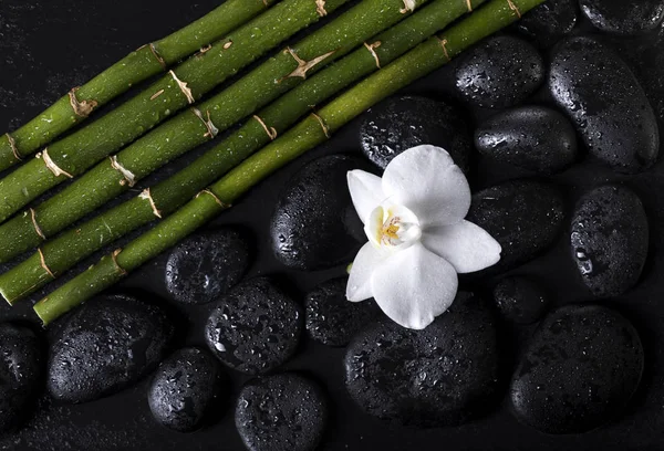 Bambu pinnar med svarta zen stenar och vit orkidé på en svart bakgrund. Spakoncept — Stockfoto