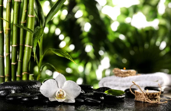 Πράσινα φύλλα μπαμπού, λευκή ορχιδέα, πετσέτα και κεριά πάνω από ζεν πέτρες σε τροπικά φύλλα φόντο — Φωτογραφία Αρχείου