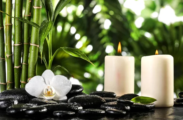 Grean bambu blad, vit orkidé, handduk och ljus över zen stenar på tropiska blad bakgrund — Stockfoto