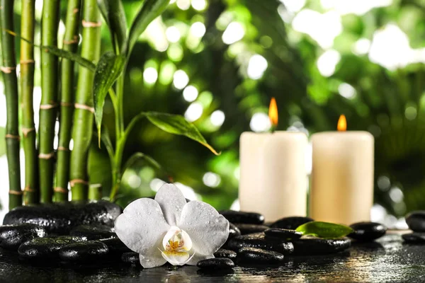 Grean bambu blad, vit orkidé, handduk och ljus över zen stenar på tropiska blad bakgrund — Stockfoto