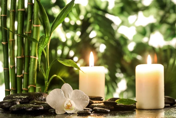 Grean bambu blad, vit orkidé, handduk och ljus över zen stenar på tropiska blad bakgrund — Stockfoto