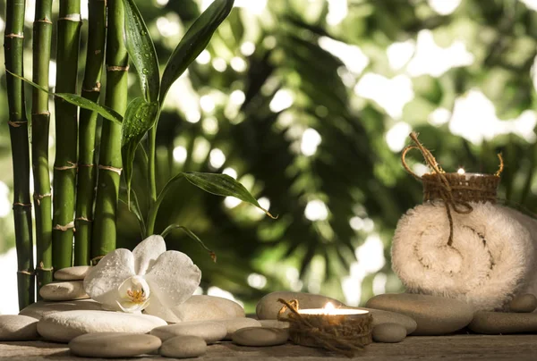 Grean bambu blad, vit orkidé, handduk och ljus över zen stenar på tropiska blad bakgrund — Stockfoto