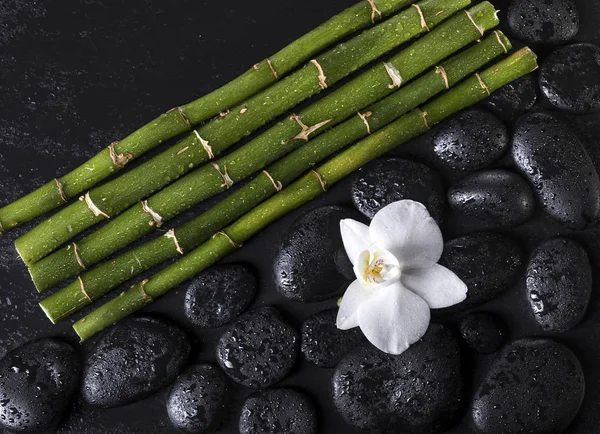 Bambu pinnar med svarta zen stenar och vit orkidé på en svart bakgrund. Spakoncept — Stockfoto