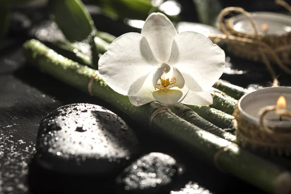 Bambu pinnar med svarta zen stenar och vit orkidé på en svart bakgrund. Spakoncept — Stockfoto