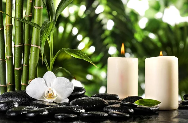 Hojas de bambú gris, orquídeas blancas, toalla y velas sobre piedras zen en hojas tropicales de fondo. Imagen de stock