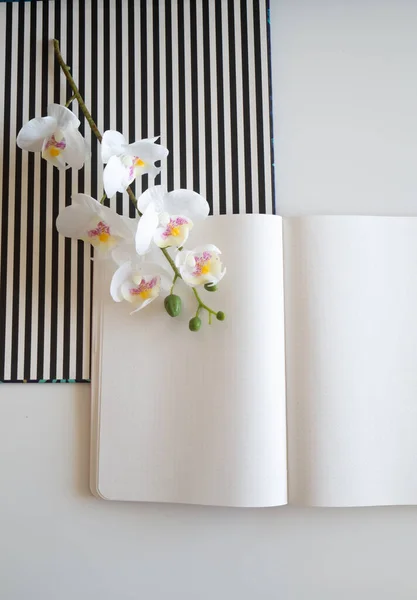Carnet sur bureau blanc avec crayons, orchidée et motif rayé - vue latérale en diagonale — Photo