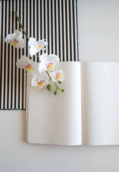Beyaz masadaki defter kalem, orkide ve çizgili desen ile düzenlenmiş - köşegen kenar görünüm