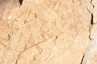 Koyu kahverengi renkli doğal bir taş. Düz olmayan bir dokusu var.