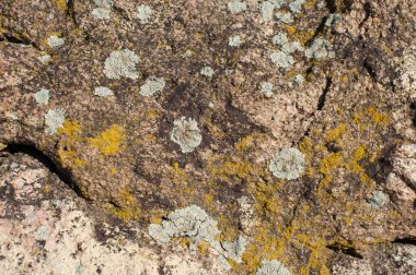 Gri ve sarı lekeler eski tasarım iç dekorasyon daire dekorasyonu banyo dekorasyonu eski model mimari