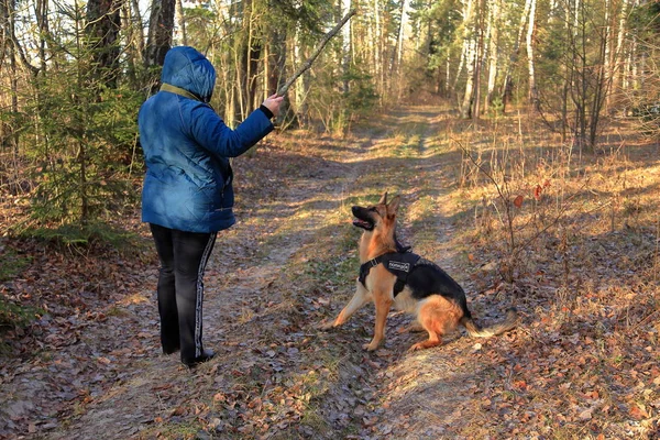 Chica con un perro en el bosque — Foto de Stock
